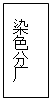 文本框: 染色分厂
